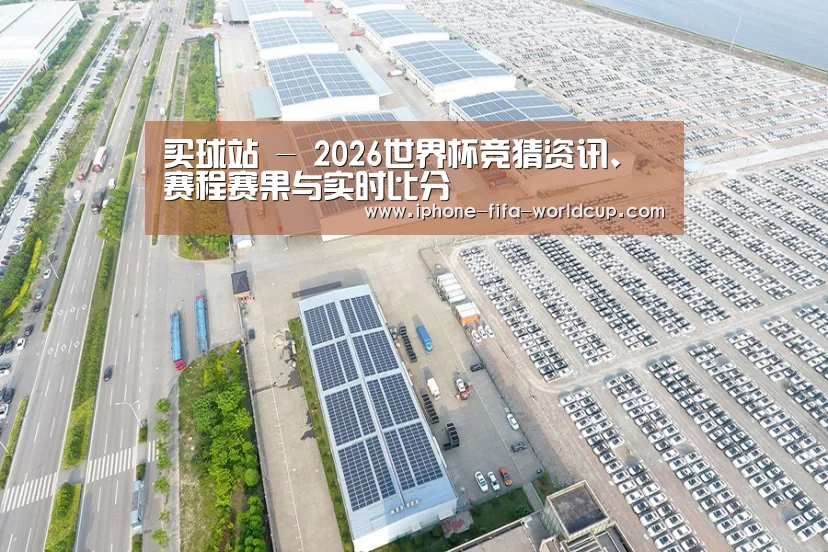 案例展示一