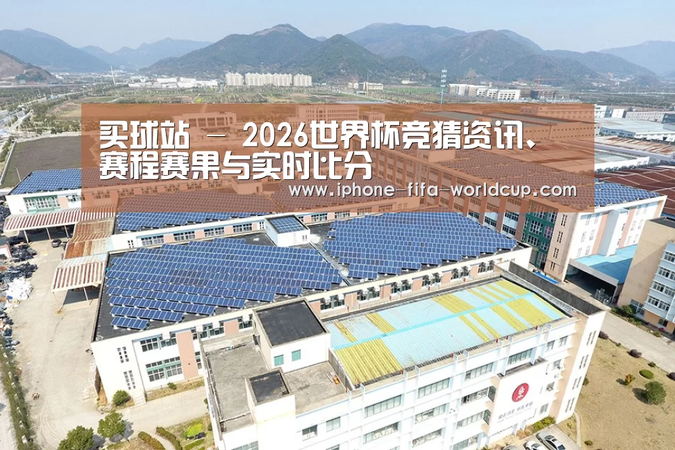 案例展示三